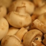 Кулинарные рецепты, блюда из грибов
